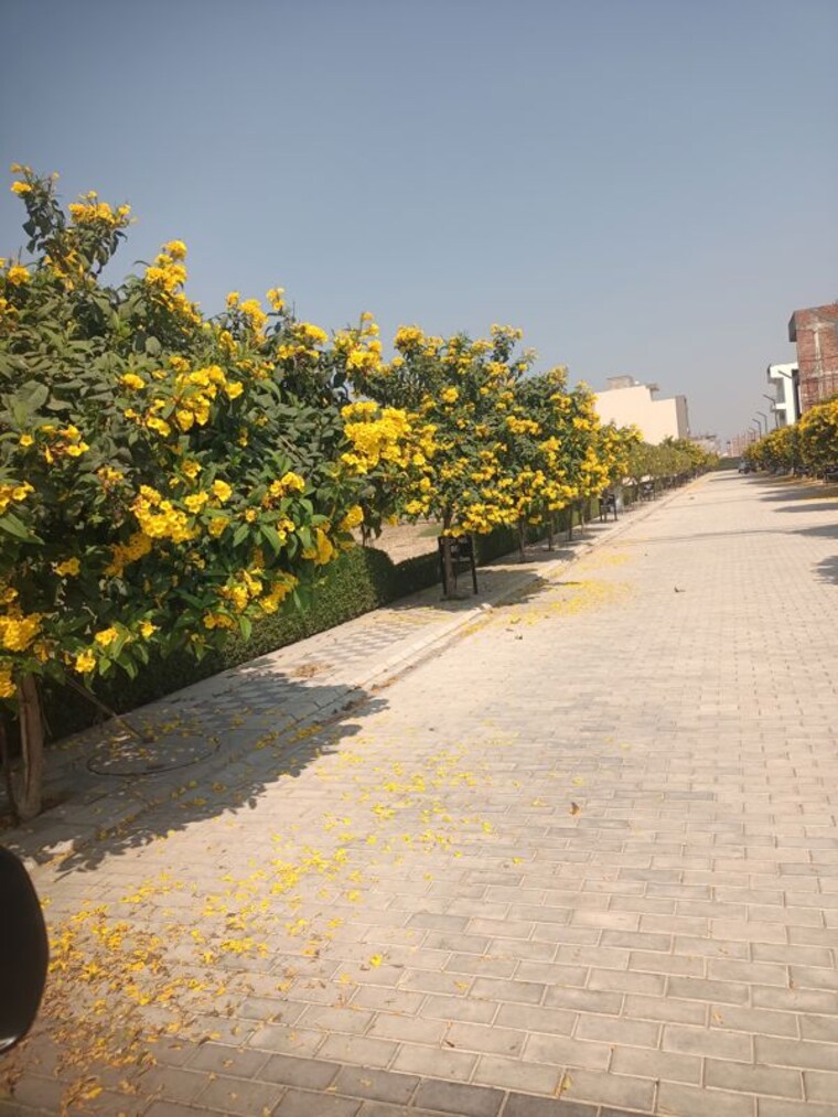 Garden, mansha-oaks  120 Sq.Yd. Plot In Sector 98 Faridabad 10044971