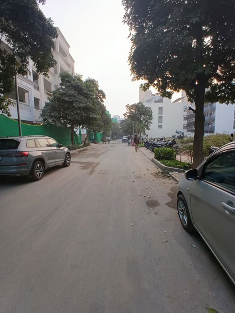  Parking, dlf-the-grove 4 Bedroom 2430 Sq.Ft. Builder Floor In Sector 54 Gurgaon 10045167