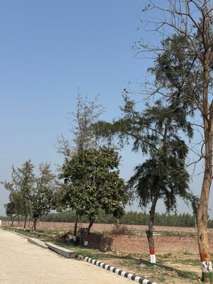 Plot Area in  Plot at Lalru – for Sale