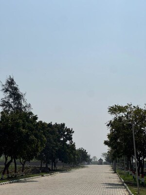 Plot Area in  Plot at Lalru – for Sale