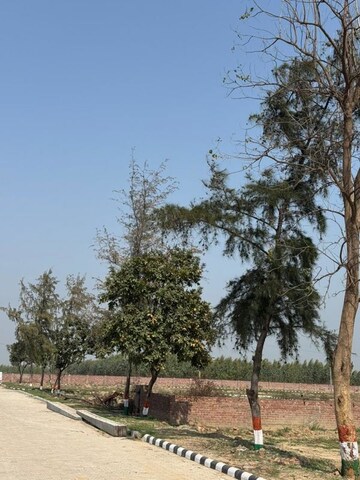 Plot Area in  Plot at Lalru – for Sale