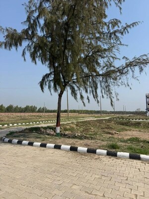 Plot Area in  Plot at Lalru – for Sale