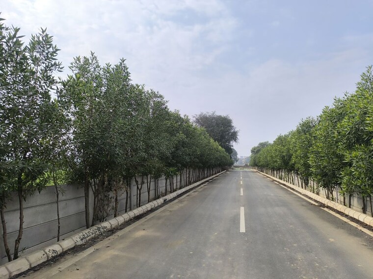 Exterior View, gls-bird-estate  118 Sq.Yd. Plot In Badsa Sector 9 Jhajjar 10046259