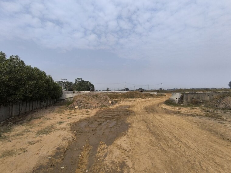 undefined, gls-bird-estate  118 Sq.Yd. Plot In Badsa Sector 9 Jhajjar 10046259