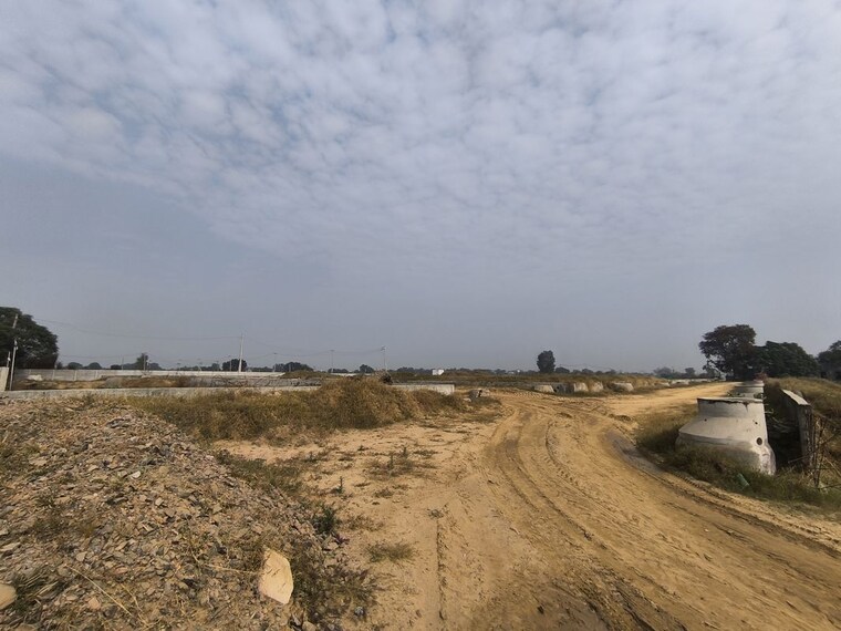 undefined, gls-bird-estate  118 Sq.Yd. Plot In Badsa Sector 9 Jhajjar 10046259