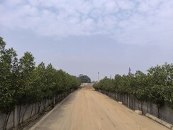 Plot For Sale in GLS Bird Estate
