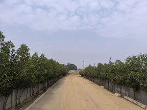  Plot For Sale in GLS Bird Estate, Badsa Sector 9