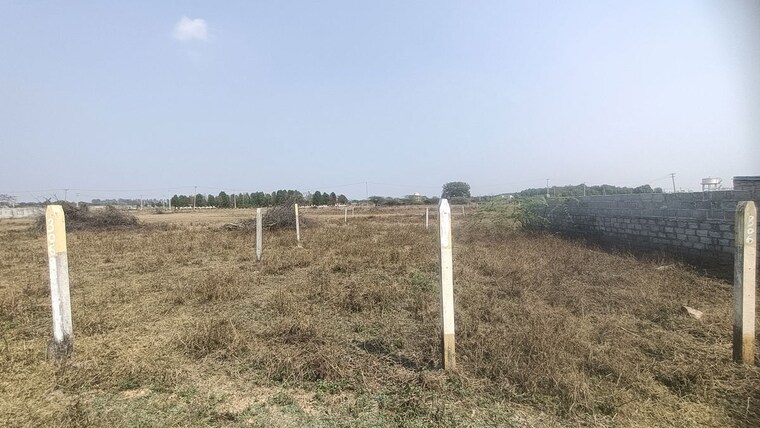 undefined, patancheru  1801 Sq.Ft. Plot In Patancheru Hyderabad 10046206