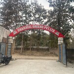 100 Sq.Yd. Plot in Shahdara