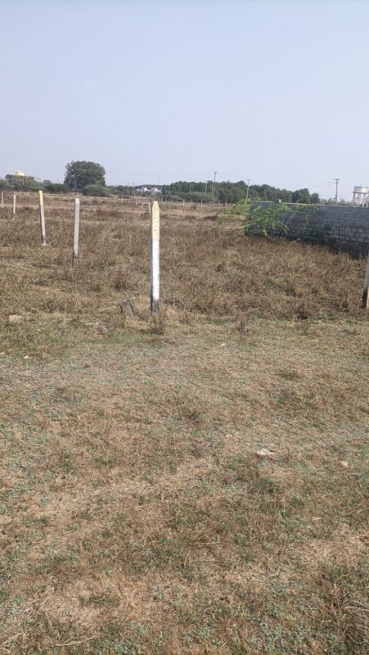 undefined, patancheru  1350 Sq.Ft. Plot In Patancheru Hyderabad 10046243