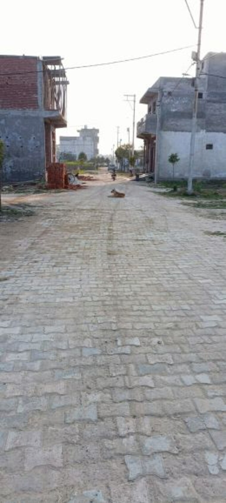 Exterior View, madhuban bapudham  100 Sq.Yd. Plot In Madhuban Bapudham Ghaziabad 10046448