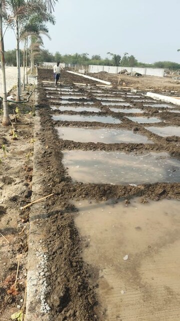 Plot Area in  Plot at Bhogpur – for Sale