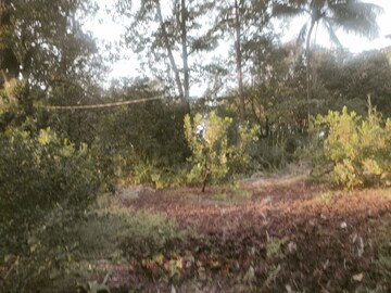 Plot Area in  Land at Khopoli – for Sale