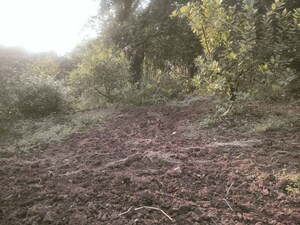 Plot Area in  Land at Khopoli – for Sale
