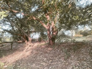   Land at Khopoli – for Sale