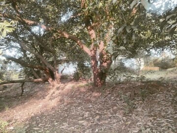   Land at Khopoli – for Sale