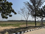 115 Sq.Yd. Plot in Lalru