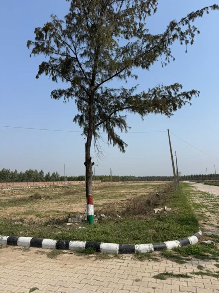 undefined, lalru  125 Sq.Yd. Plot In Lalru Mohali 10043118