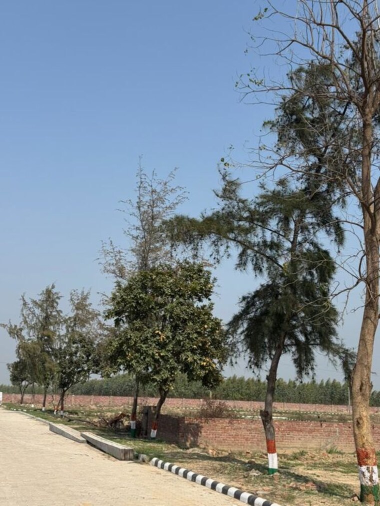 undefined, lalru  125 Sq.Yd. Plot In Lalru Mohali 10043118
