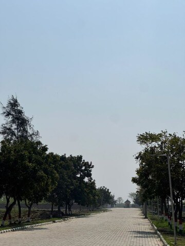 Plot Area in  Plot at Lalru – for Sale