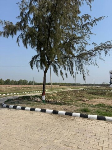 Plot Area in  Plot at Lalru – for Sale