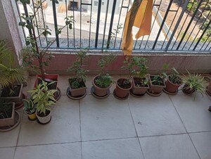 2 BHK Apartment – Exterior View View at Godrej 24, Hinjewadi - for Rent