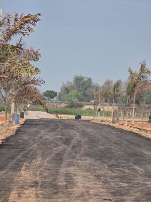 Plot Area in  Plot at Tappal – for Sale