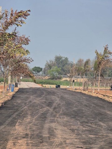 Plot Area in  Plot at Tappal – for Sale