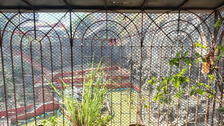 Garden, andheri west 1 Bedroom 520 Sq.Ft. Apartment In Andheri West Mumbai 10047590