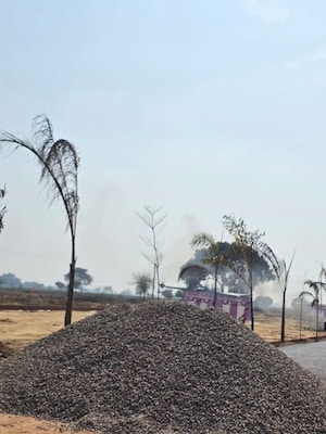 Plot Area in  Plot at Tappal – for Sale