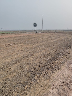 Plot Area in  Plot at Sohna – for Sale