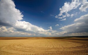  Land For Sale in Chikkaballapur