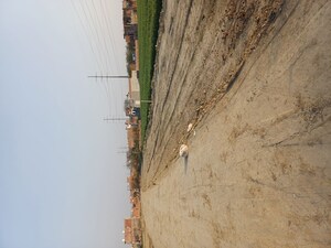  Plot For Sale in Lakhnawali