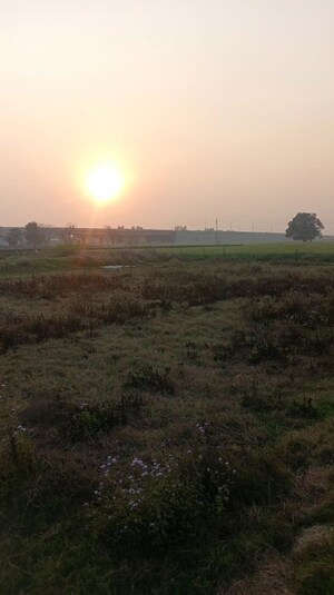  Plot For Sale in TDI Ourania, Sector 53