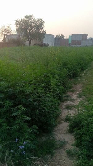  Plot For Sale in Godrej Astra, Sector 54