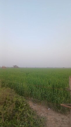 Plot For Sale in Gail CGHS