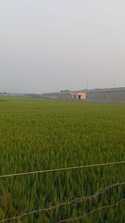 Plot For Sale in AEZ Aloha