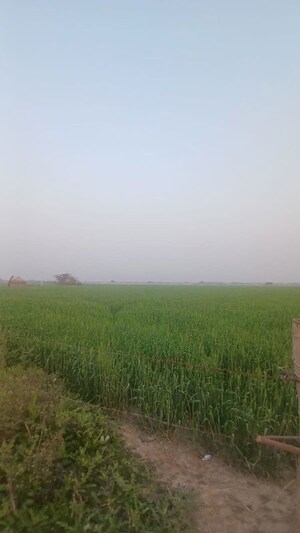  Plot For Sale in AEZ Aloha, Sector 57