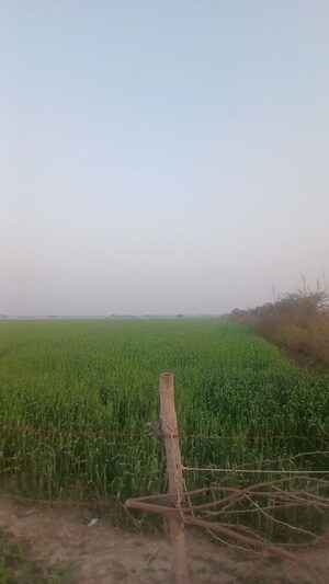  Plot For Sale in AEZ Aloha, Sector 57