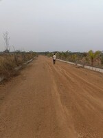 195 Sq.Yd. Plot in Chintapalli