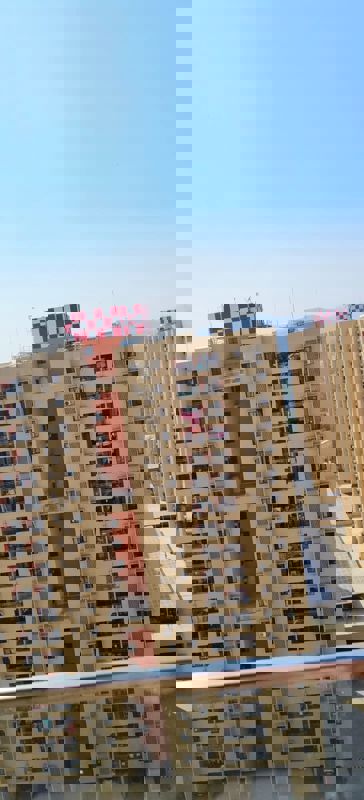 2 BHK + Pooja Room,Servant Room,Study Room,Extra Room,Basement 973 Sq.Ft. Apartment in Nanded Bageshree