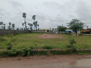  Plot For Sale in Chintapalli