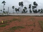 193 Sq.Yd. Plot in Chintapalli