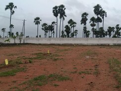 Plot For Sale in Chintapalli