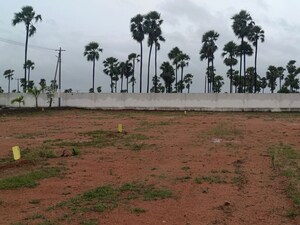 Plot Area in  Plot at Chintapalli – for Sale