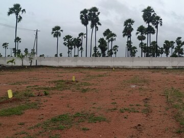 Plot Area in  Plot at Chintapalli – for Sale