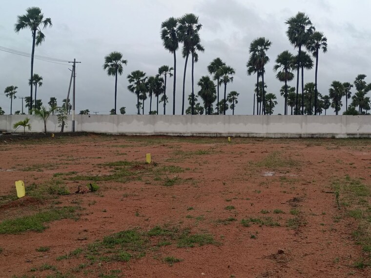 undefined, chintapalli  193 Sq.Yd. Plot In Chintapalli Hyderabad 10048850
