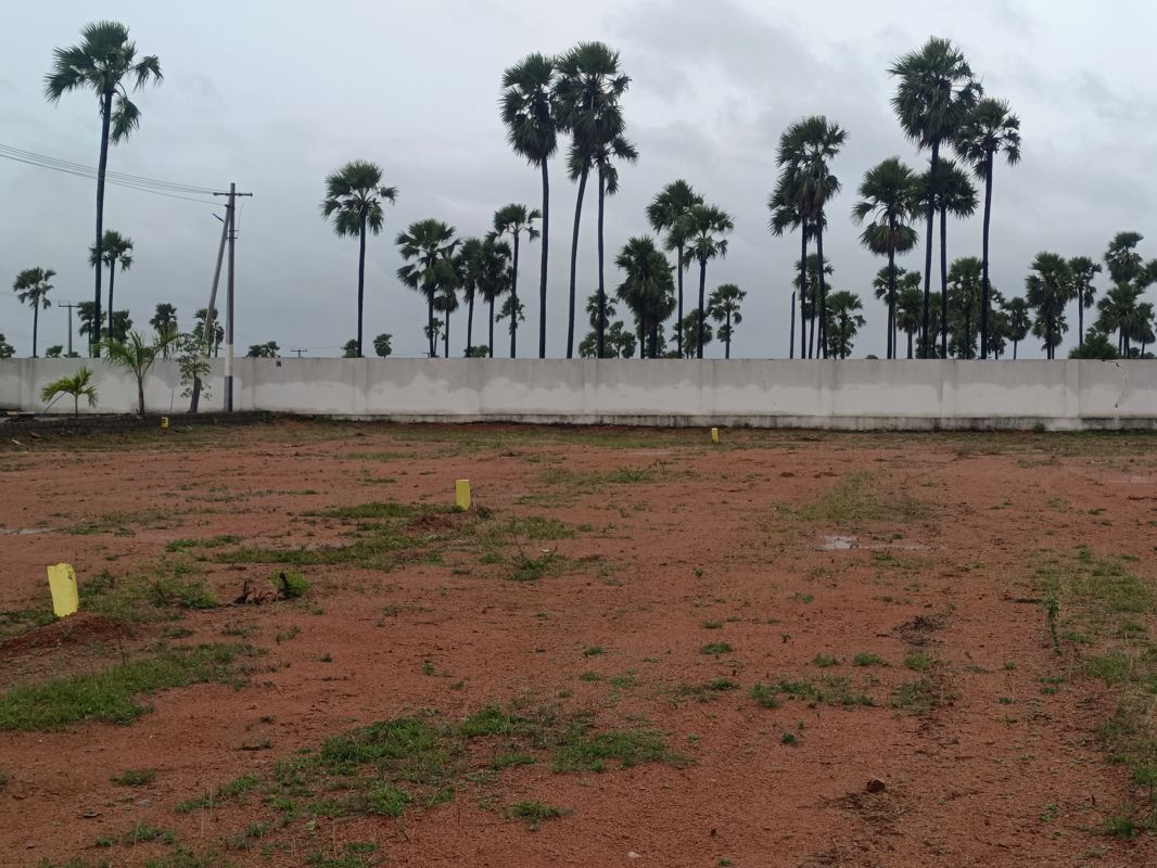 Plot For Sale in Chintapalli