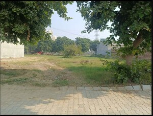  Plot For Sale in Sector 110