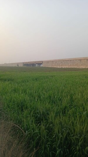  Plot For Sale in AEZ Aloha, Sector 57